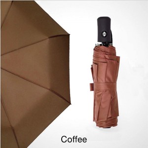 Winddicht Dubbellaags Custom Printing 3 Opvouwbare Auto Open dubbele lagen Regen- en parasol